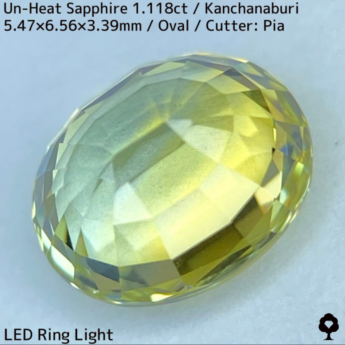 Kanchanaburi Sapphire 2Pc 2.231ct