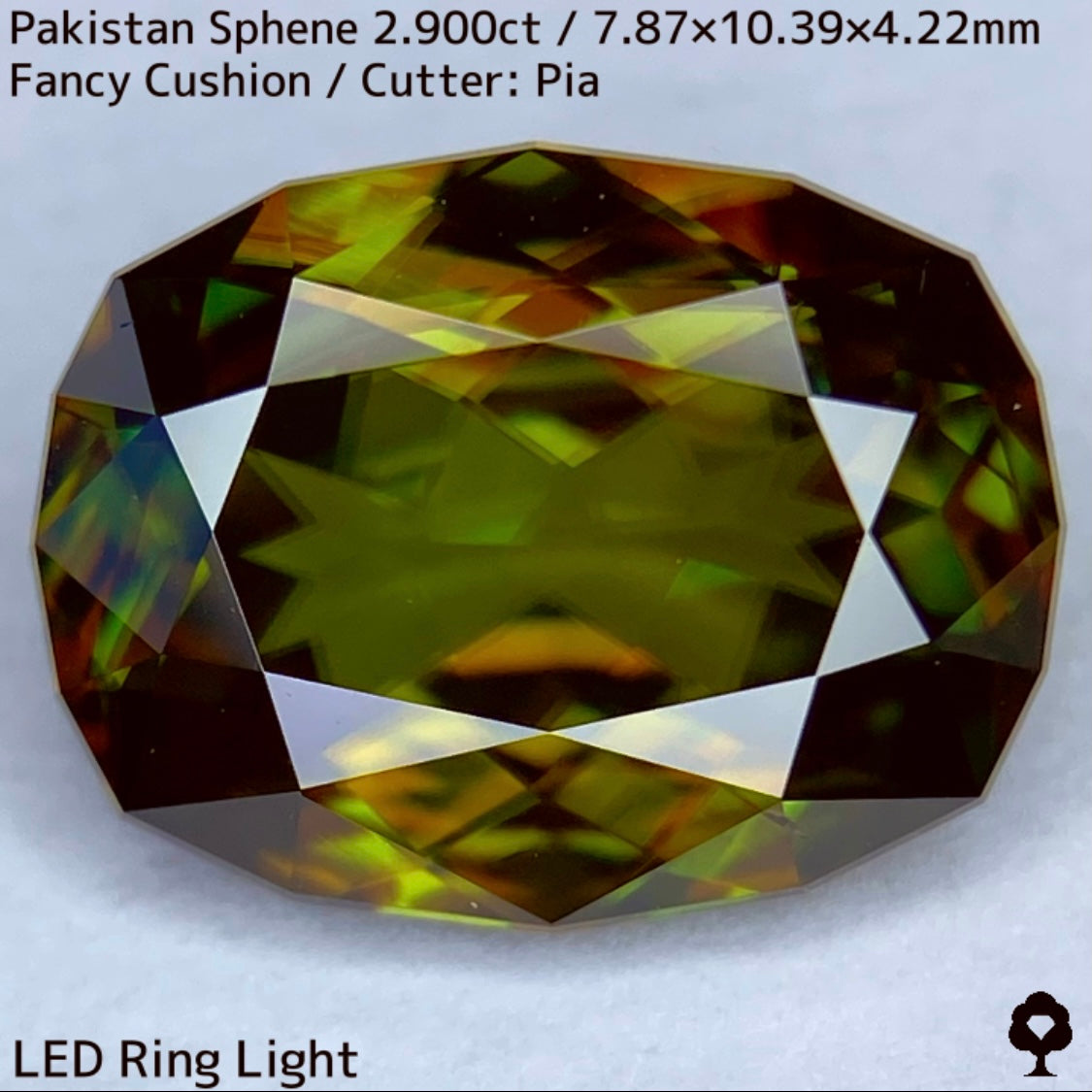 Sphene 2.900ct / Pakistan