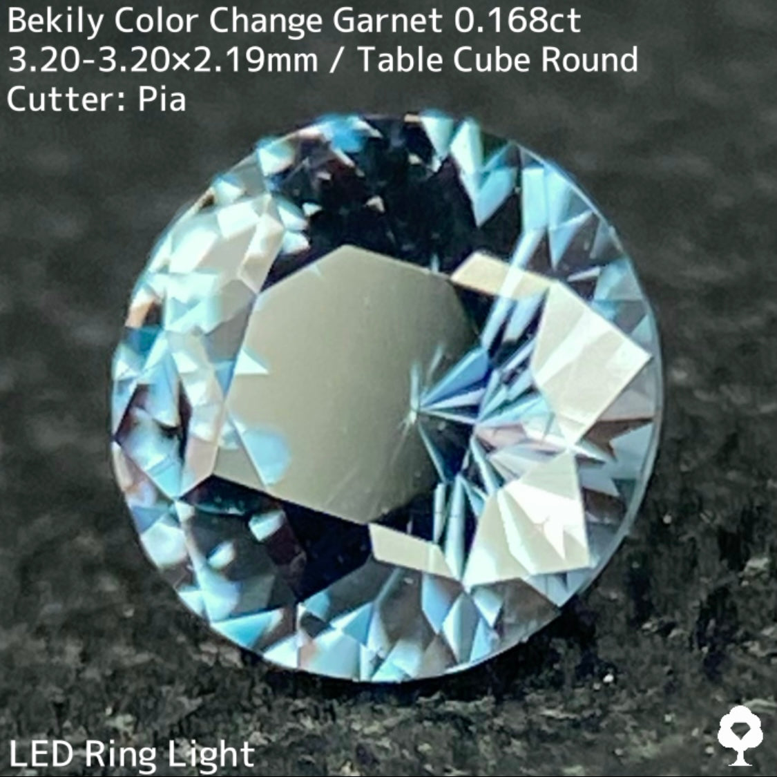 Color Change Garnet 0.168ct / Bekily(Madagascar)
