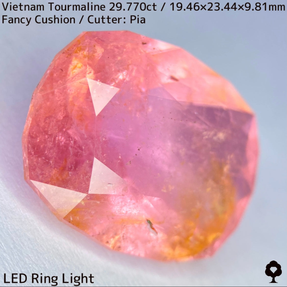 Tourmaline 29.770ct / Vietnam