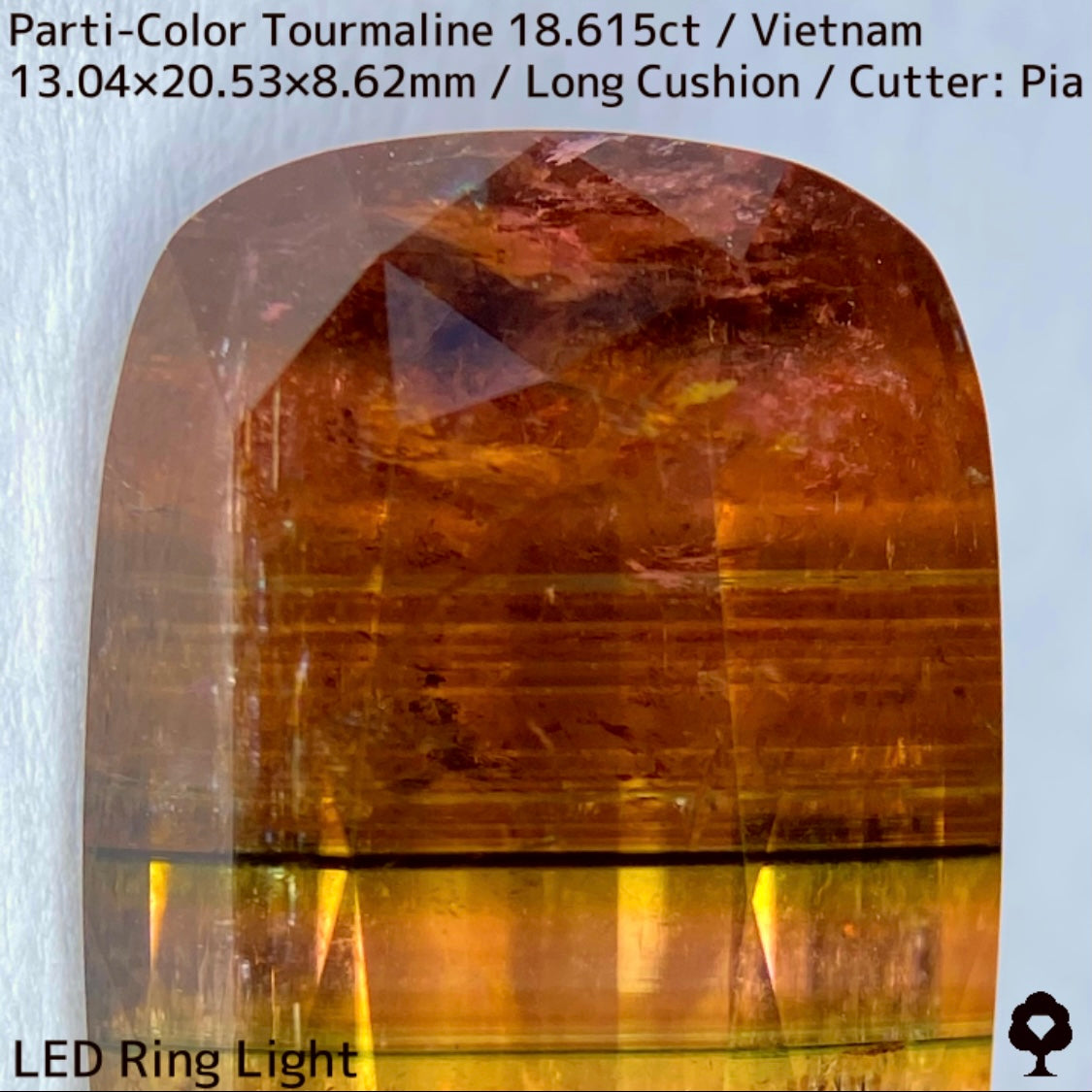 Parti-Color Tourmaline 18.615ct / Vietnam / Long Cushion