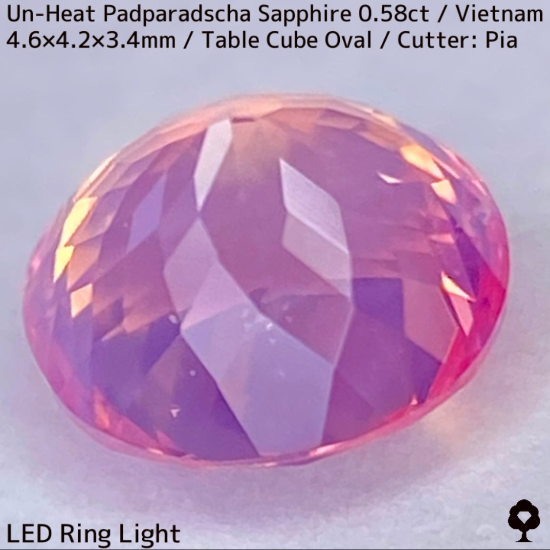 Un-Heat Padparadscha Sapphire 0.58ct / Vietnam