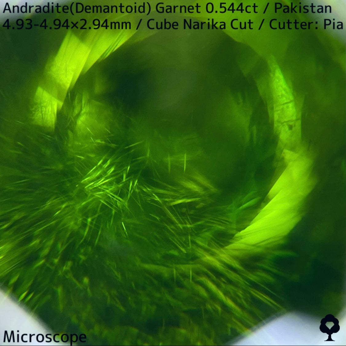 Andradite (Demantoid) 0.544ct / Pakistan / Table cube Narika