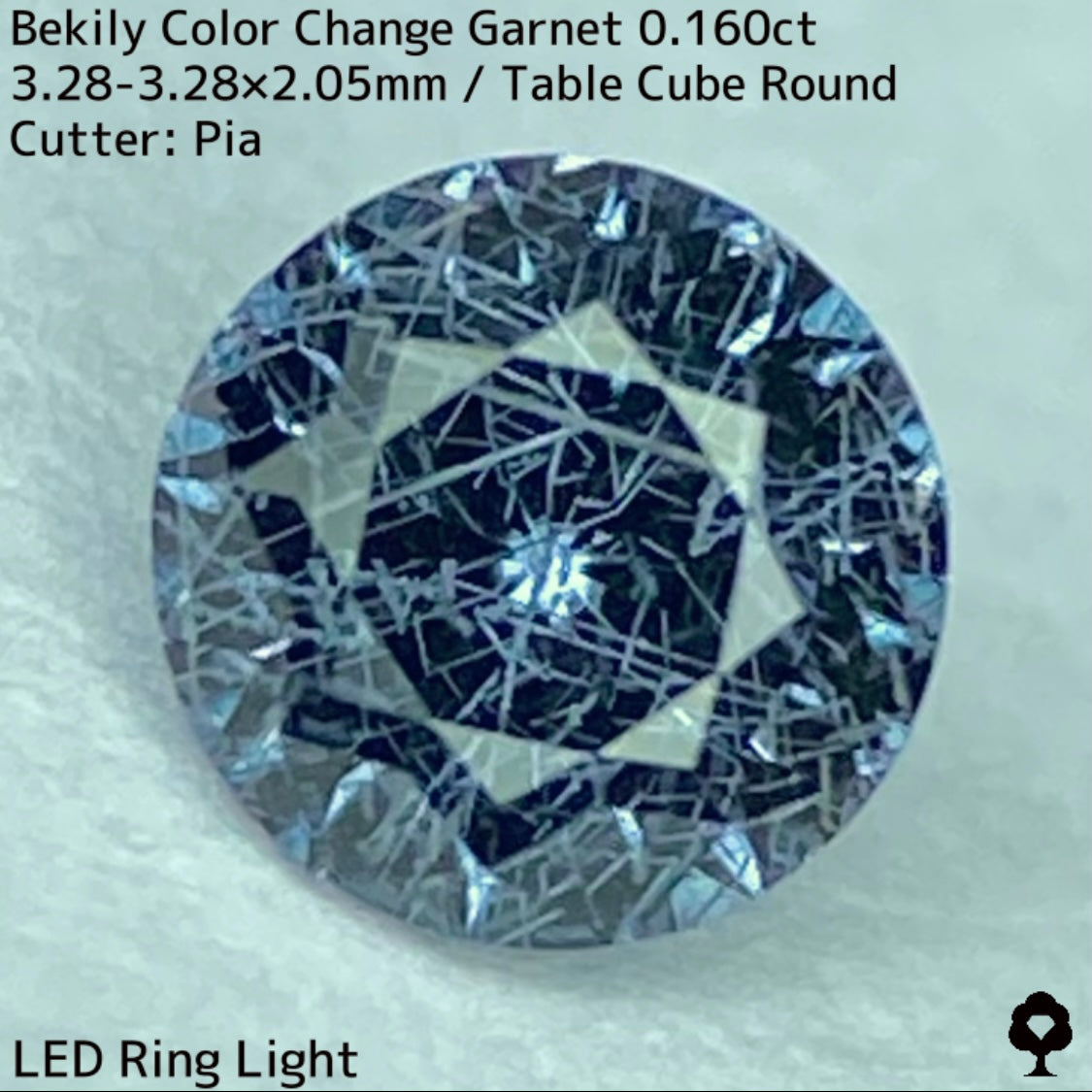 Color Change Garnet 0.160ct / Bekily(Madagascar)