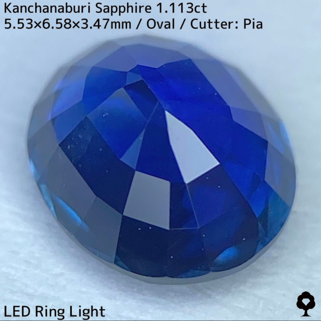 Kanchanaburi sapphire 1.113ct ★ A rare 1ct+ sapphire with a silky, slightly greenish blue color typical of Kanchanaburi