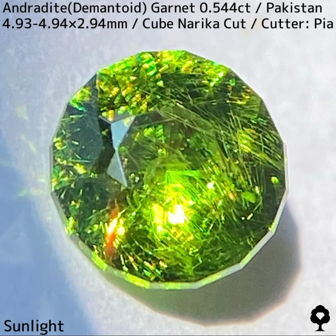 Andradite(Demantoid)0.544ct / Pakistan / Table cube Narika