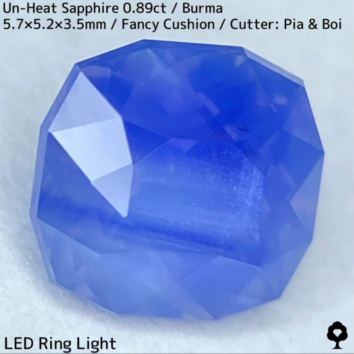 Un-Heat Sapphire 0.896ct / Burma