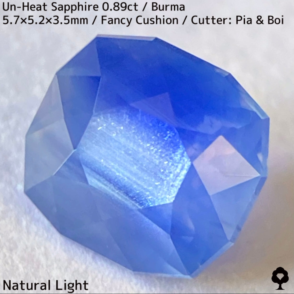 Un-Heat Sapphire 0.896ct / Burma