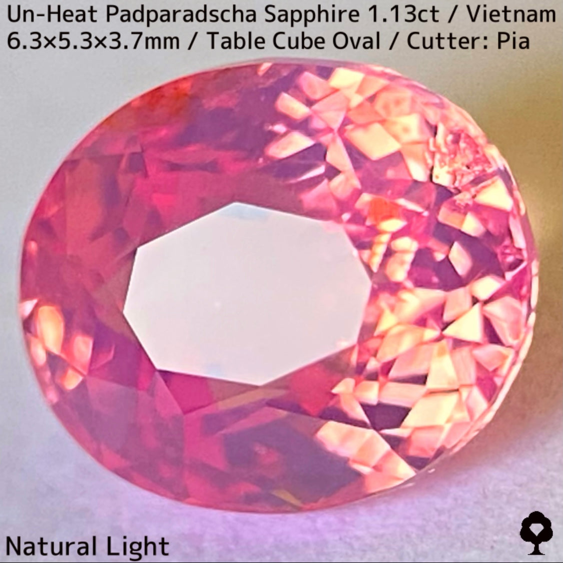 Un-Heat Padparadscha Sapphire 1.136ct / Vietnam