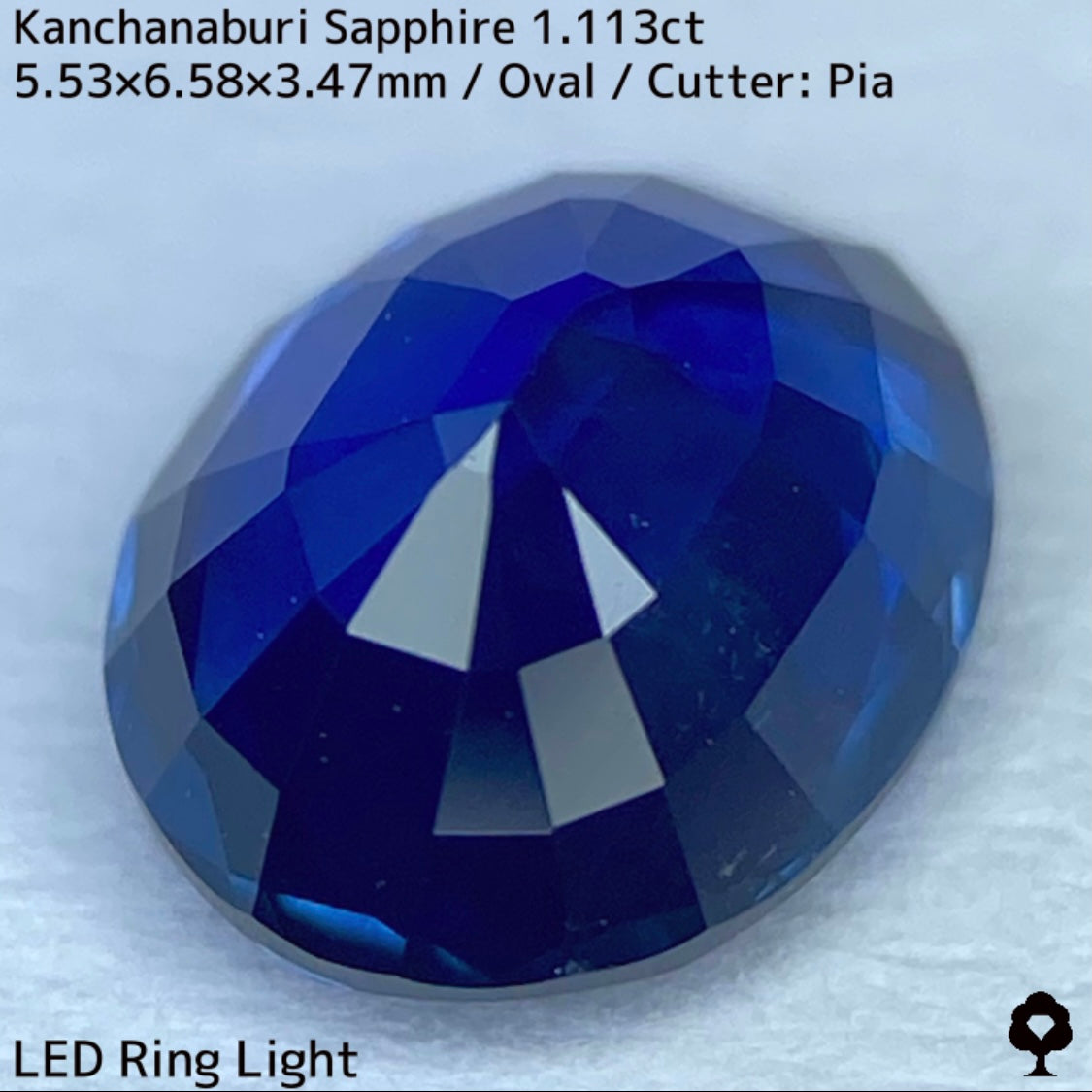 Kanchanaburi sapphire 1.113ct ★ A rare 1ct+ sapphire with a silky, slightly greenish blue color typical of Kanchanaburi