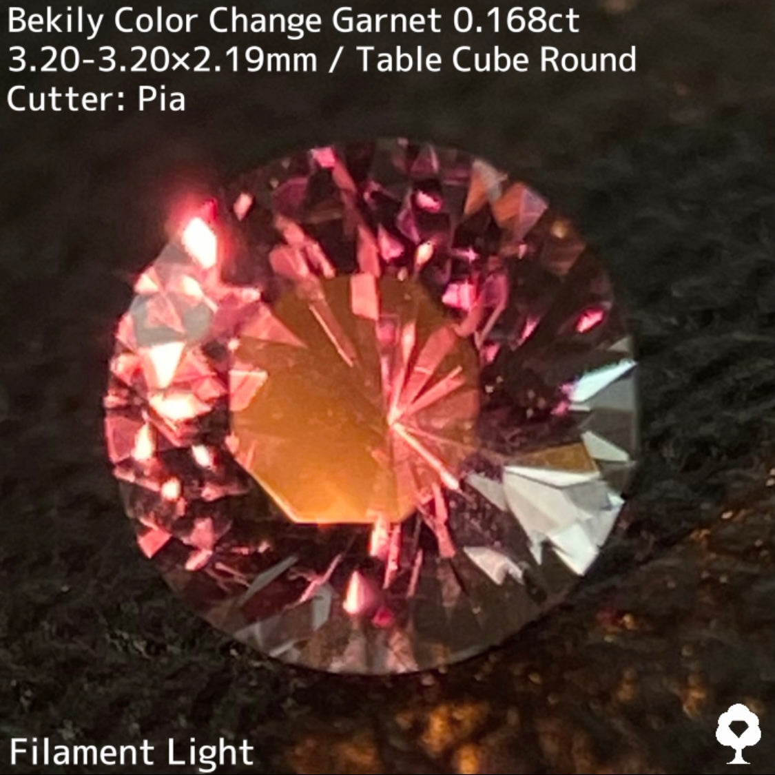 Color Change Garnet 0.168ct / Bekily(Madagascar)
