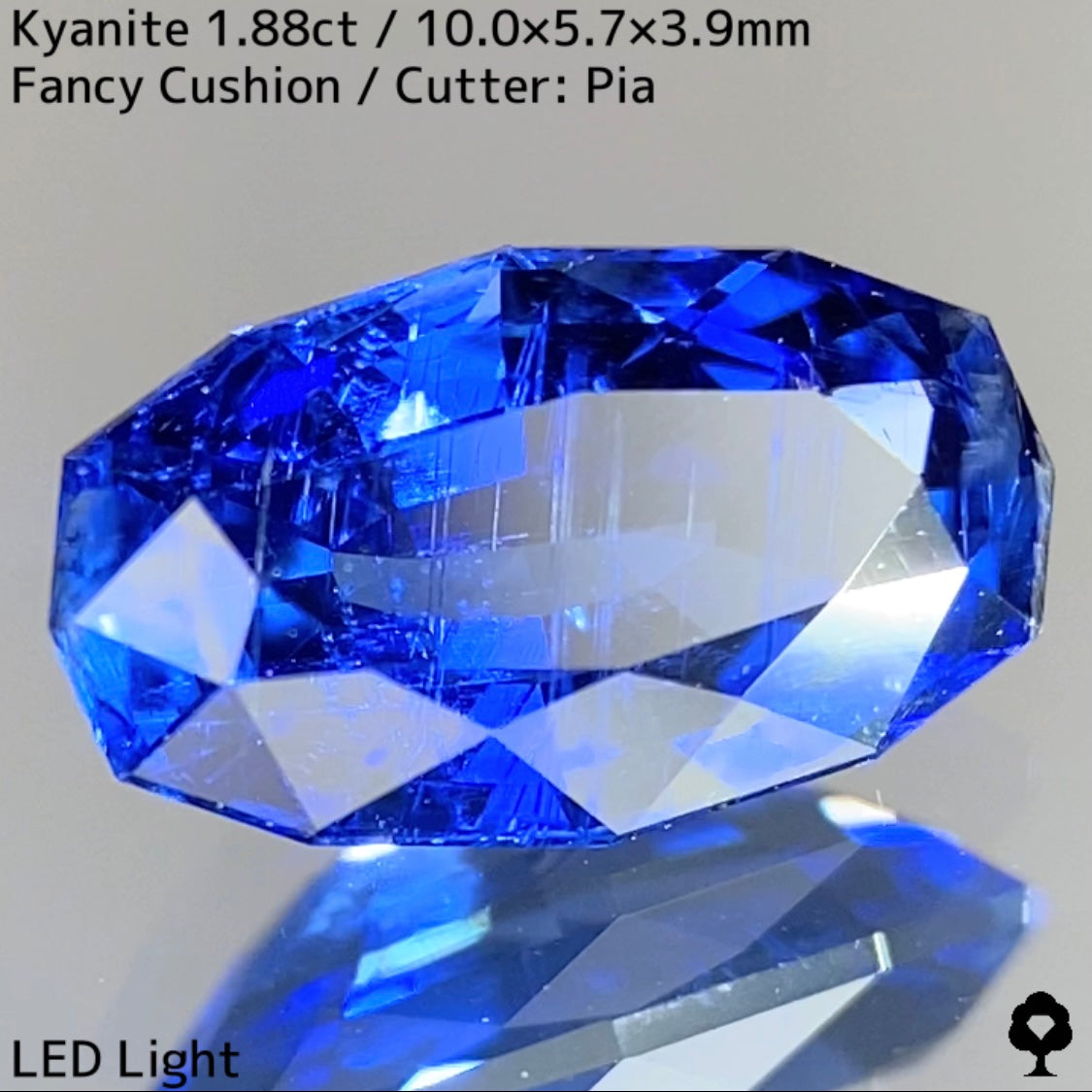 Kyanite 1.88ct / Nepal