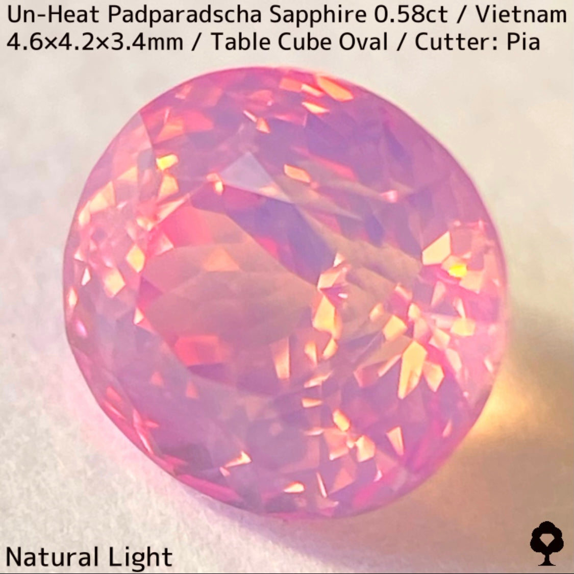 Un-Heat Padparadscha Sapphire 0.58ct / Vietnam