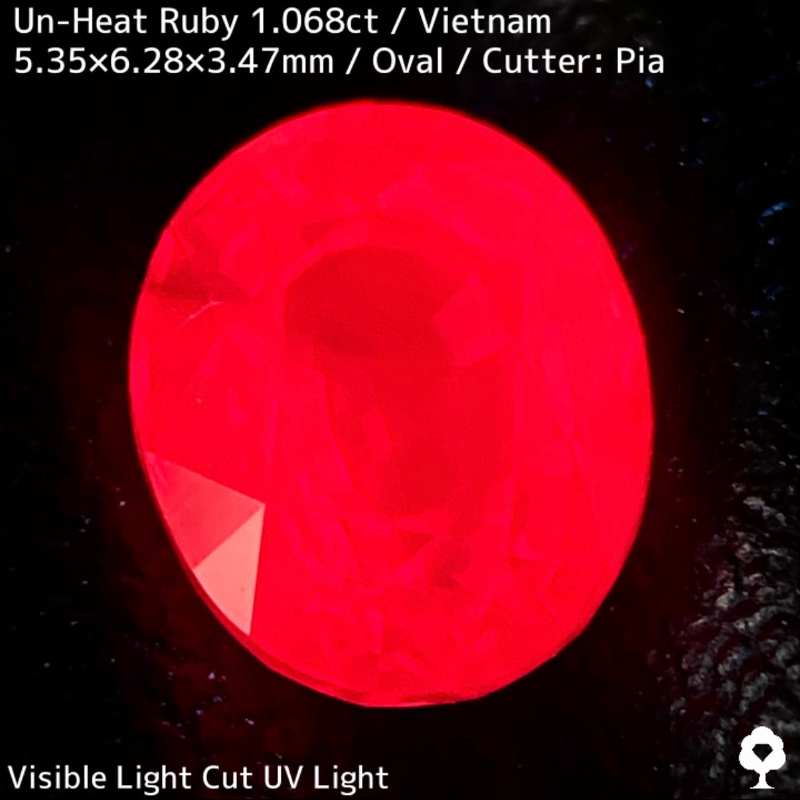 【Ruby Focus】Un-Heat Ruby 1.068ct / Vietnam