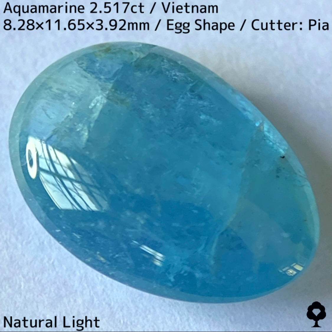 Aquamarine 2.517ct / Vietnam