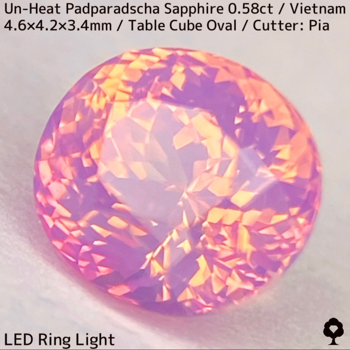Un-Heat Padparadscha Sapphire 0.58ct / Vietnam