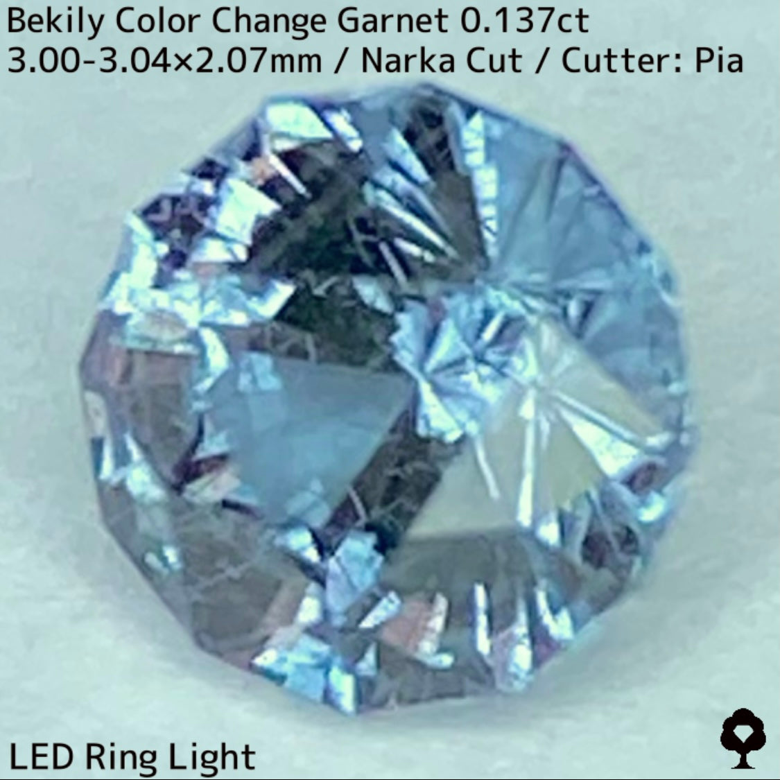 Color Change Garnet 0.137ct / Bekily(Madagascar)