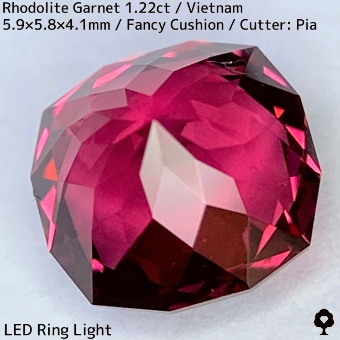 Rhodolite Garnet 1.22ct / Vietnam