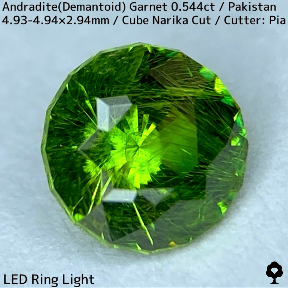 Andradite(Demantoid)0.544ct / Pakistan / Table cube Narika