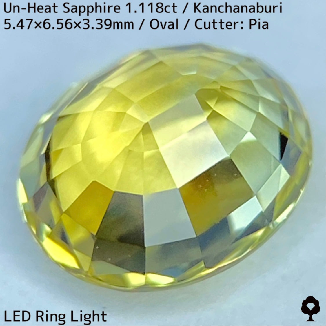 Kanchanaburi Sapphire 2Pc 2.231ct