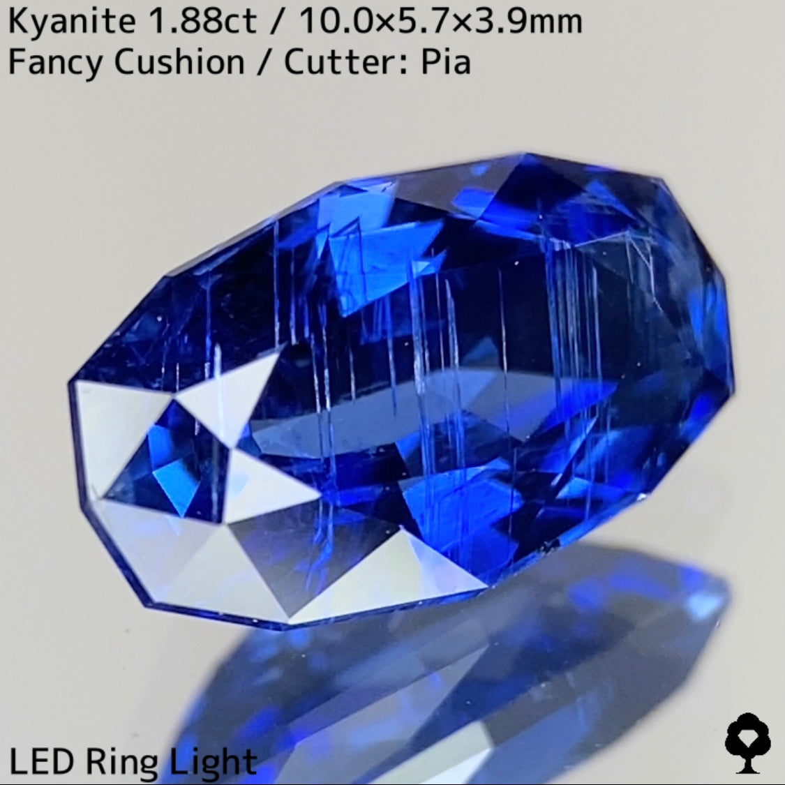 Kyanite 1.88ct / Nepal