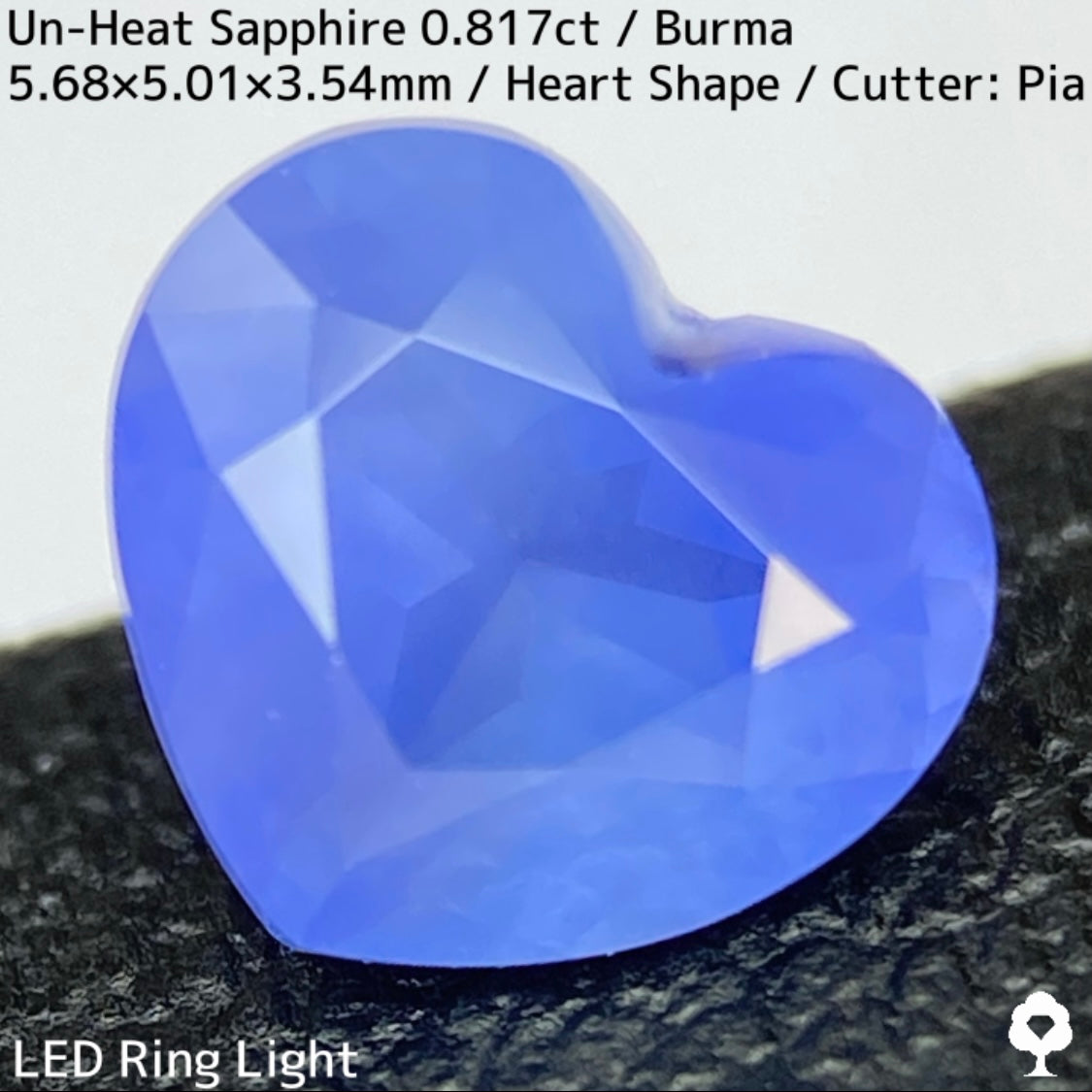 Un-Heat Sapphire 0.817ct / Burma