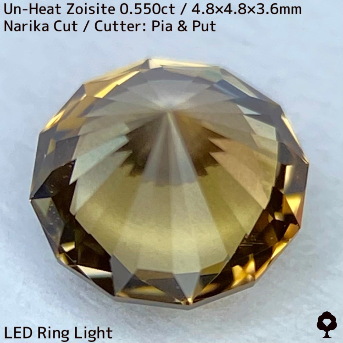 Un-Heat Zoisite 0.550ct / Tanzania