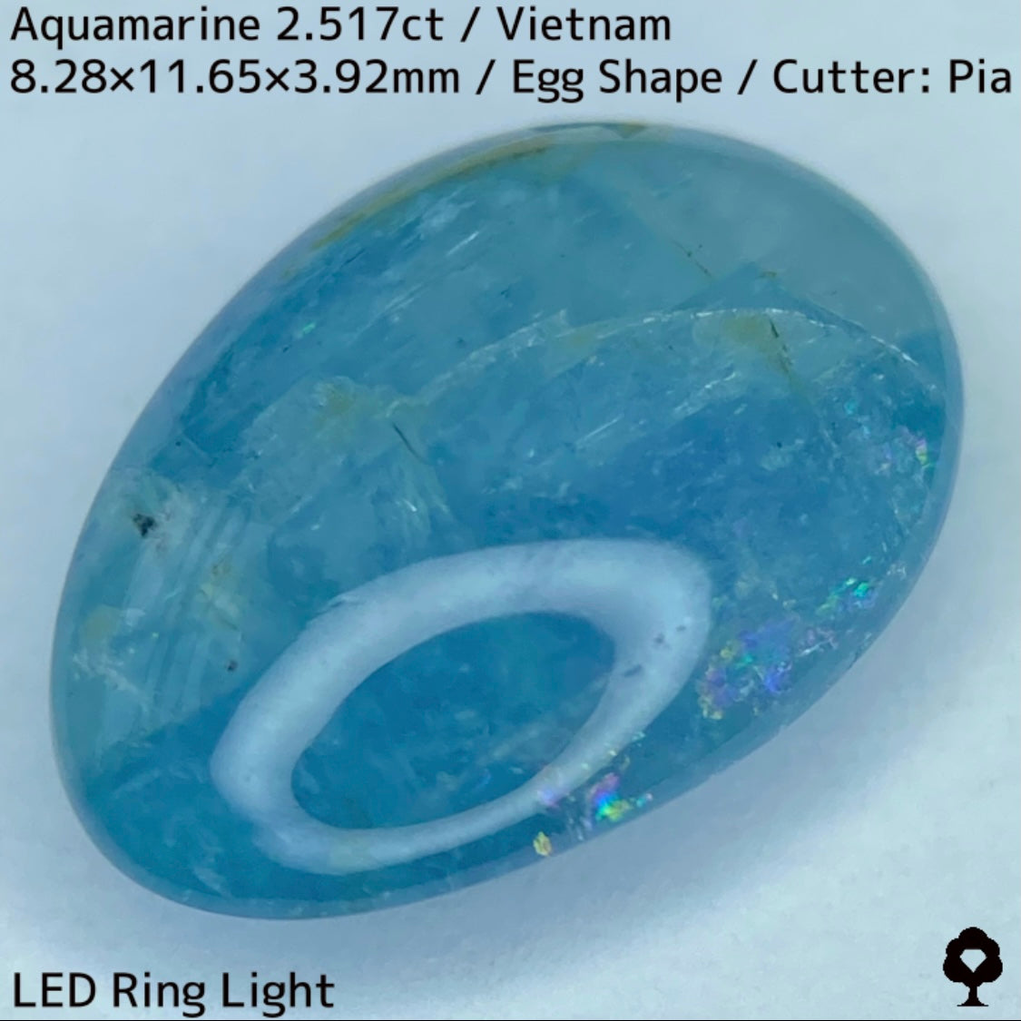 Aquamarine 2.517ct / Vietnam
