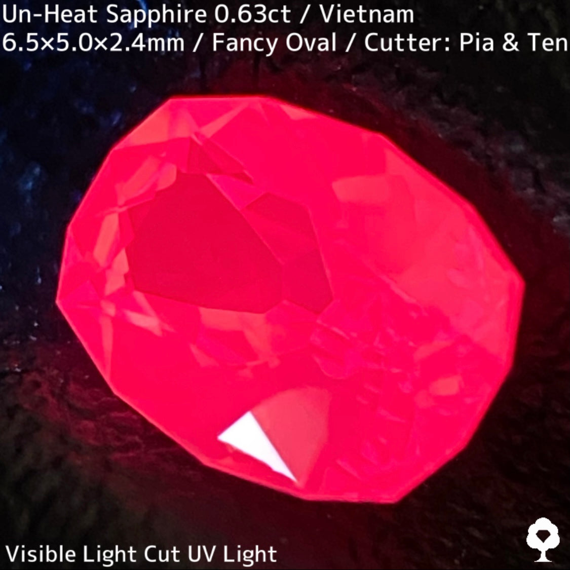 Sapphire 0.70ct / Vietnam