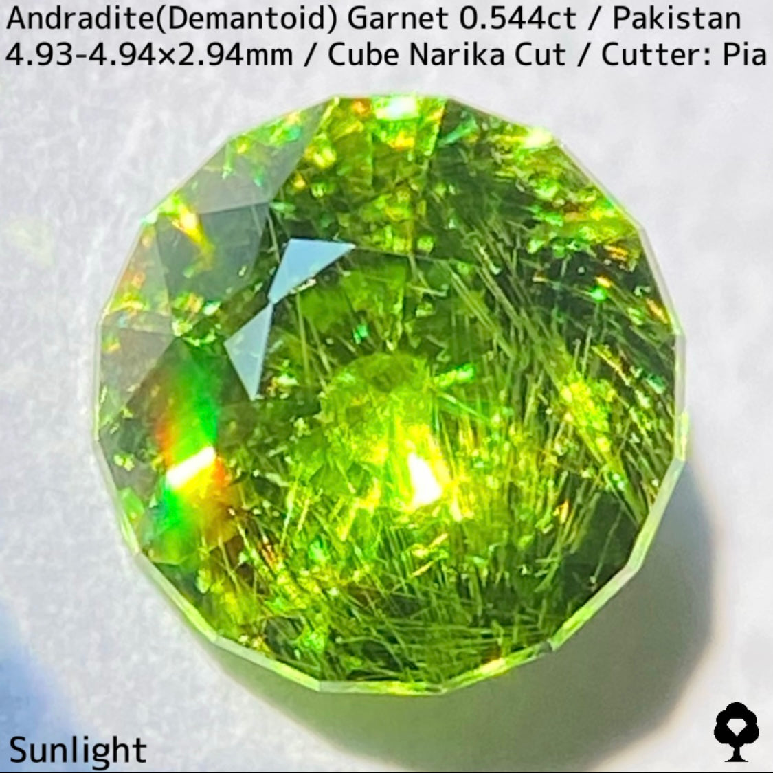 Andradite(Demantoid)0.544ct / Pakistan / Table cube Narika