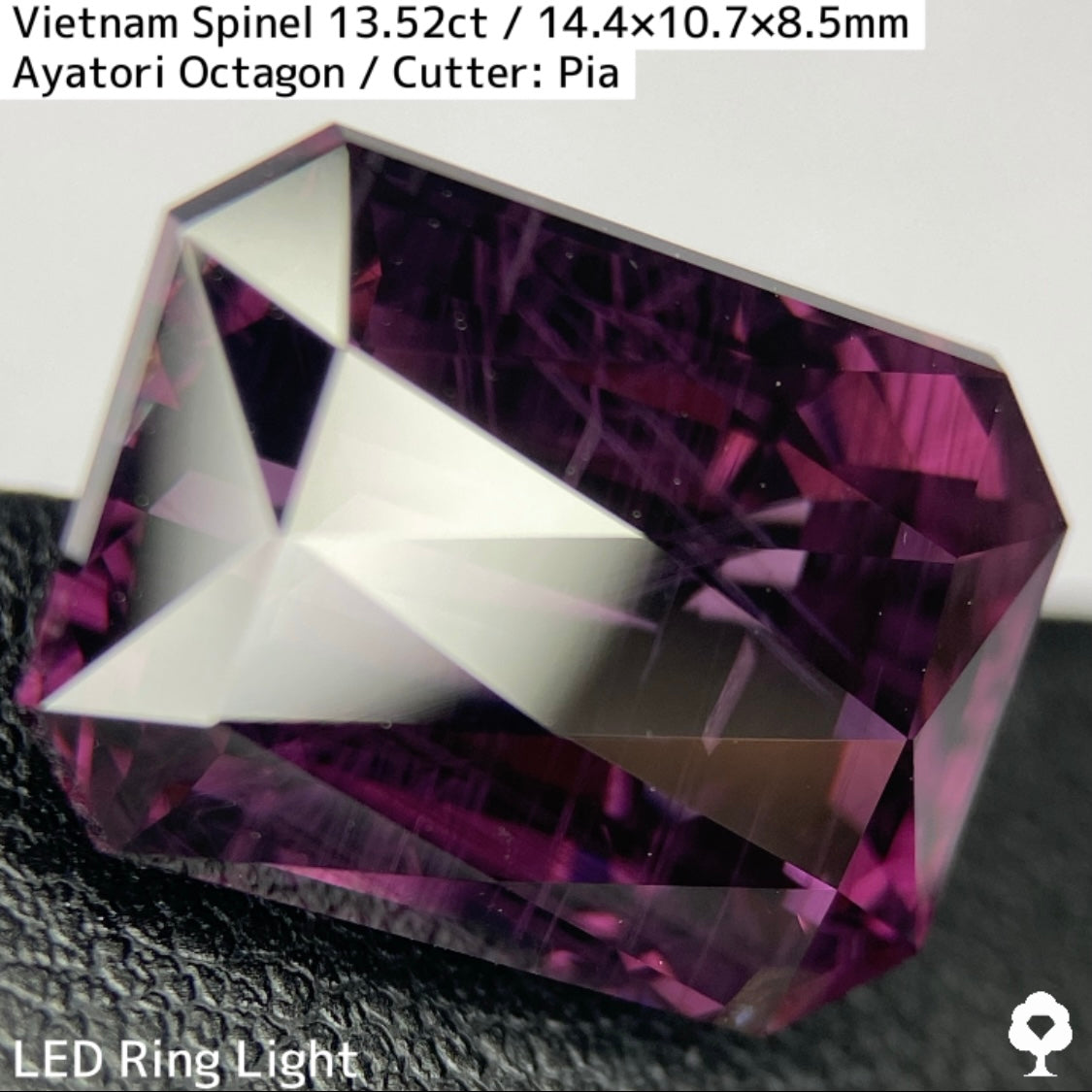 Spinel 13.52ct / Vietnam / Ayatori