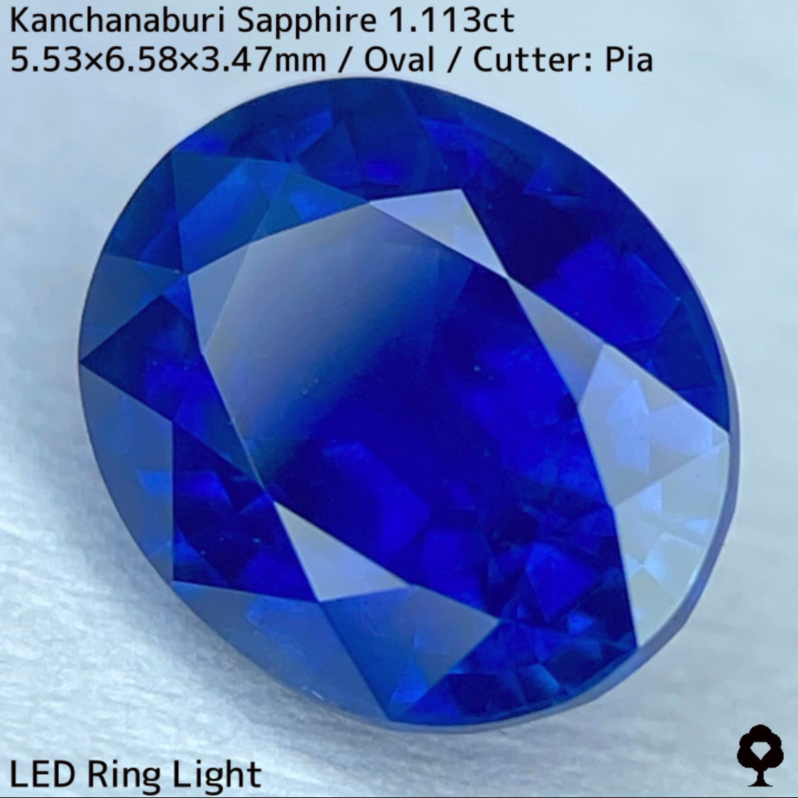 Kanchanaburi sapphire 1.113ct ★ A rare 1ct+ sapphire with a silky, slightly greenish blue color typical of Kanchanaburi