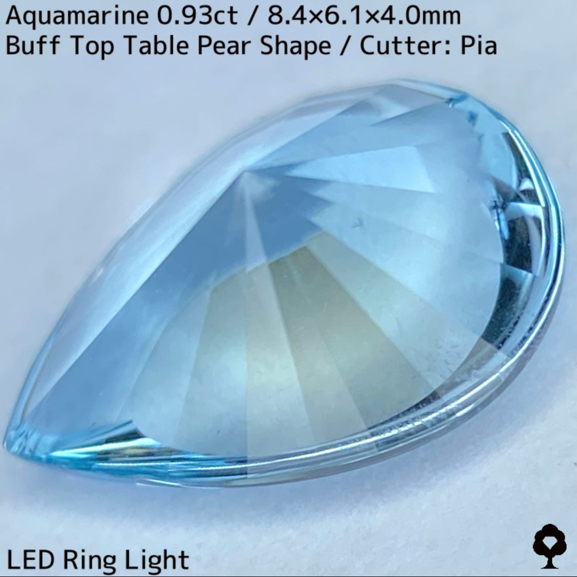 Aquamarine 0.93ct / Madagascar