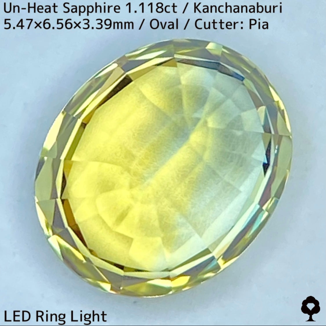Kanchanaburi Sapphire 2Pc 2.231ct