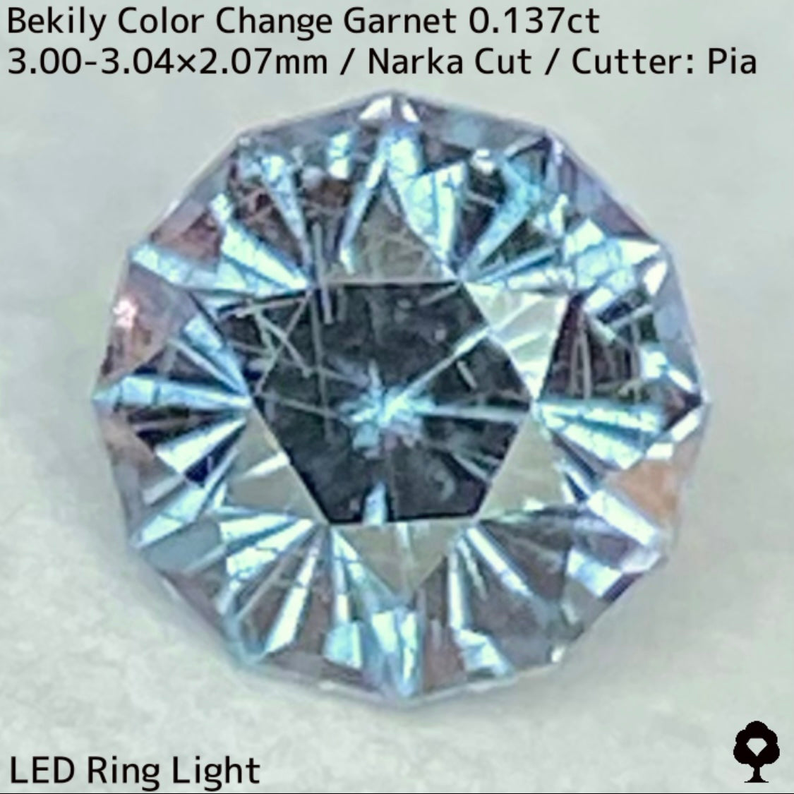 Color Change Garnet 0.137ct / Bekily(Madagascar)
