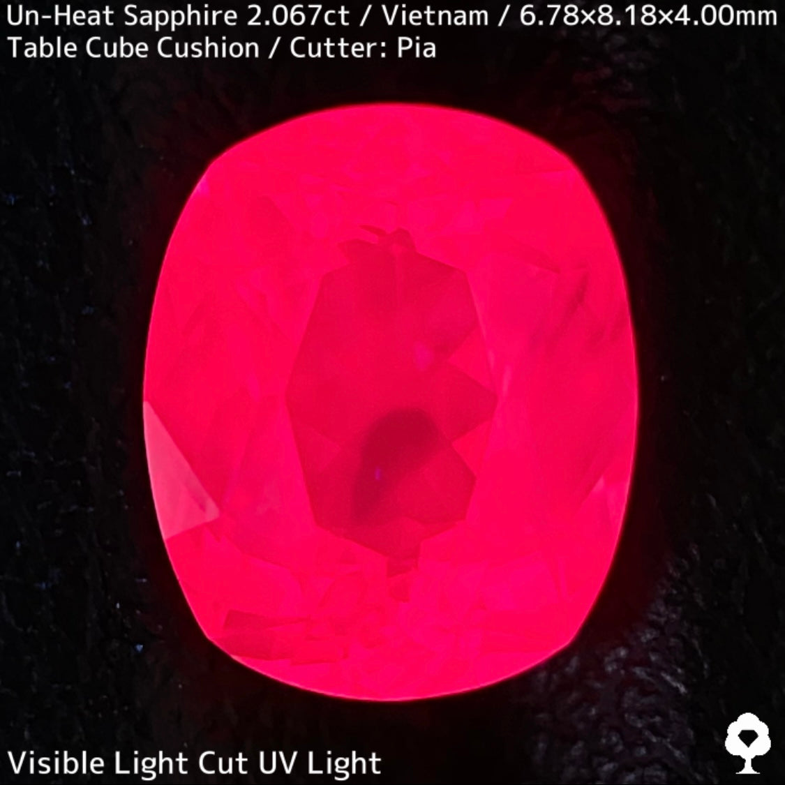 【Corundum Focus】Un-Heat Pink Sapphire 2.067ct / Vietnam