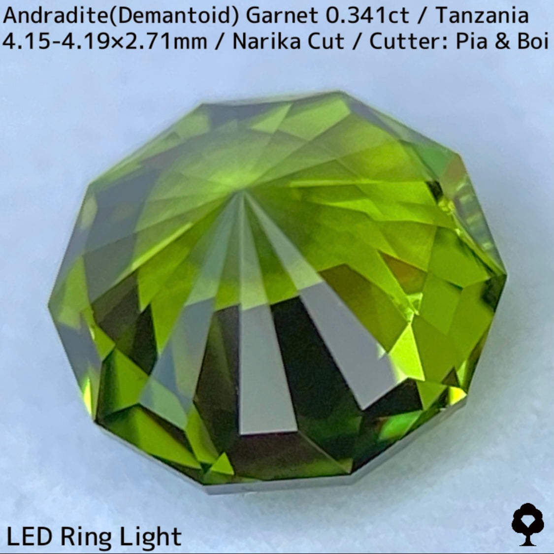 Andoradaite(Demantoid)0.341ct / Tanzania / Narika