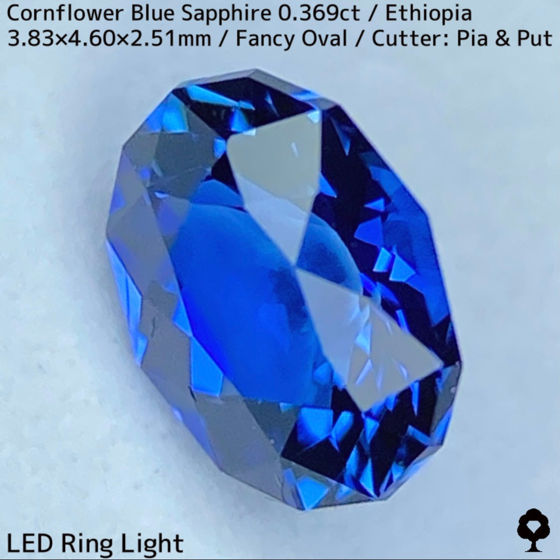 Ethiopian cornflower blue sapphire 0.369ct ★ Vivid and gorgeous, clear, beautiful crystal cut ★ Comes with 0.88ct rough stone