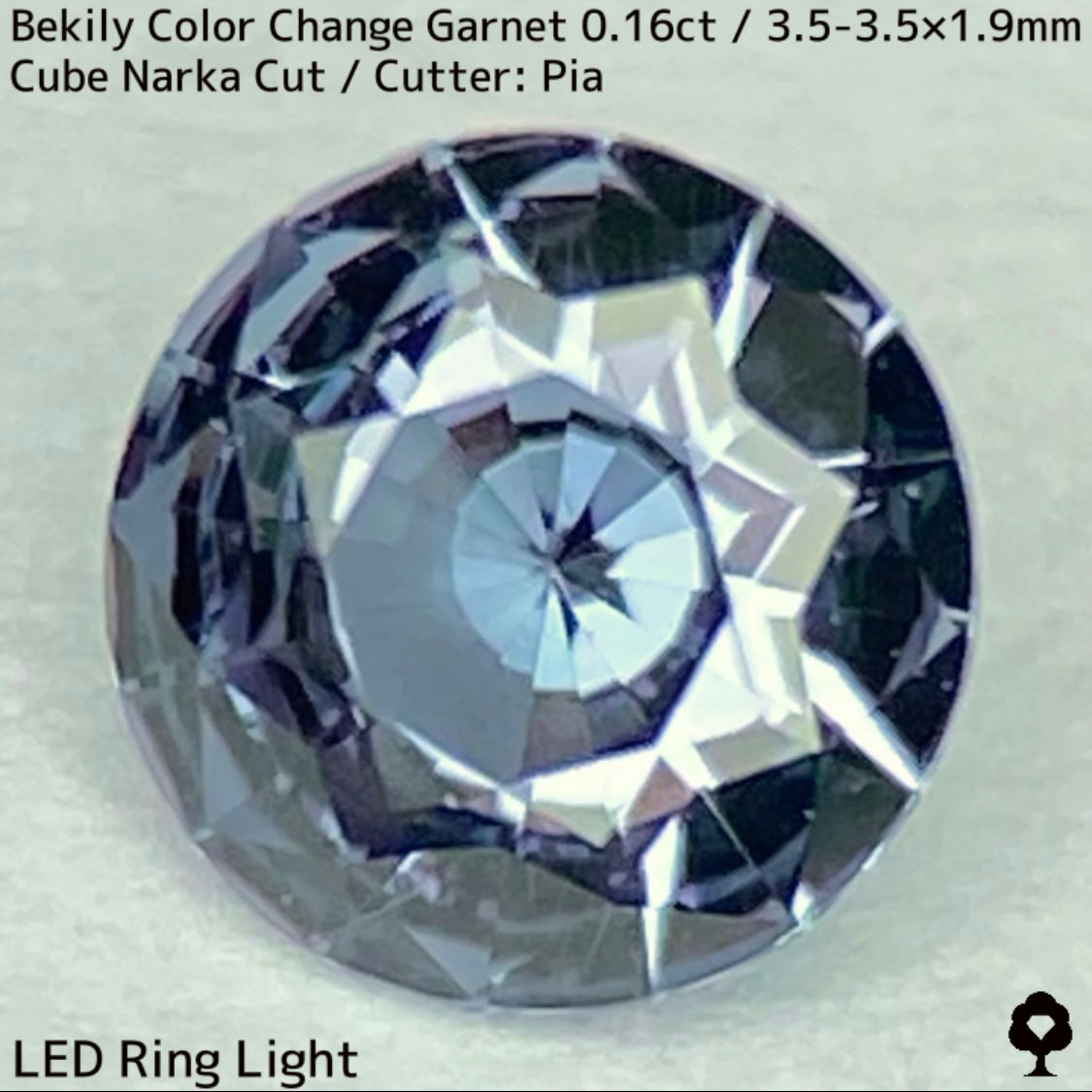 Color Change Garnet 0.161ct / Bekily(Madagascar)