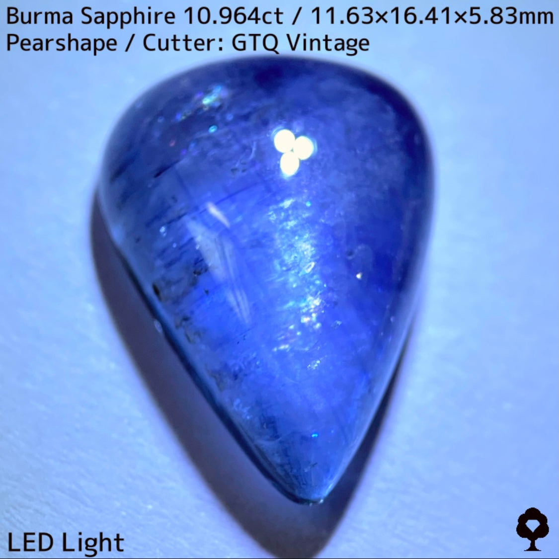 Sapphire 10.964ct / Burma / Cabochon