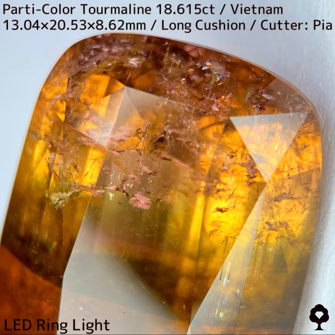 Parti-Color Tourmaline 18.615ct / Vietnam / Long Cushion