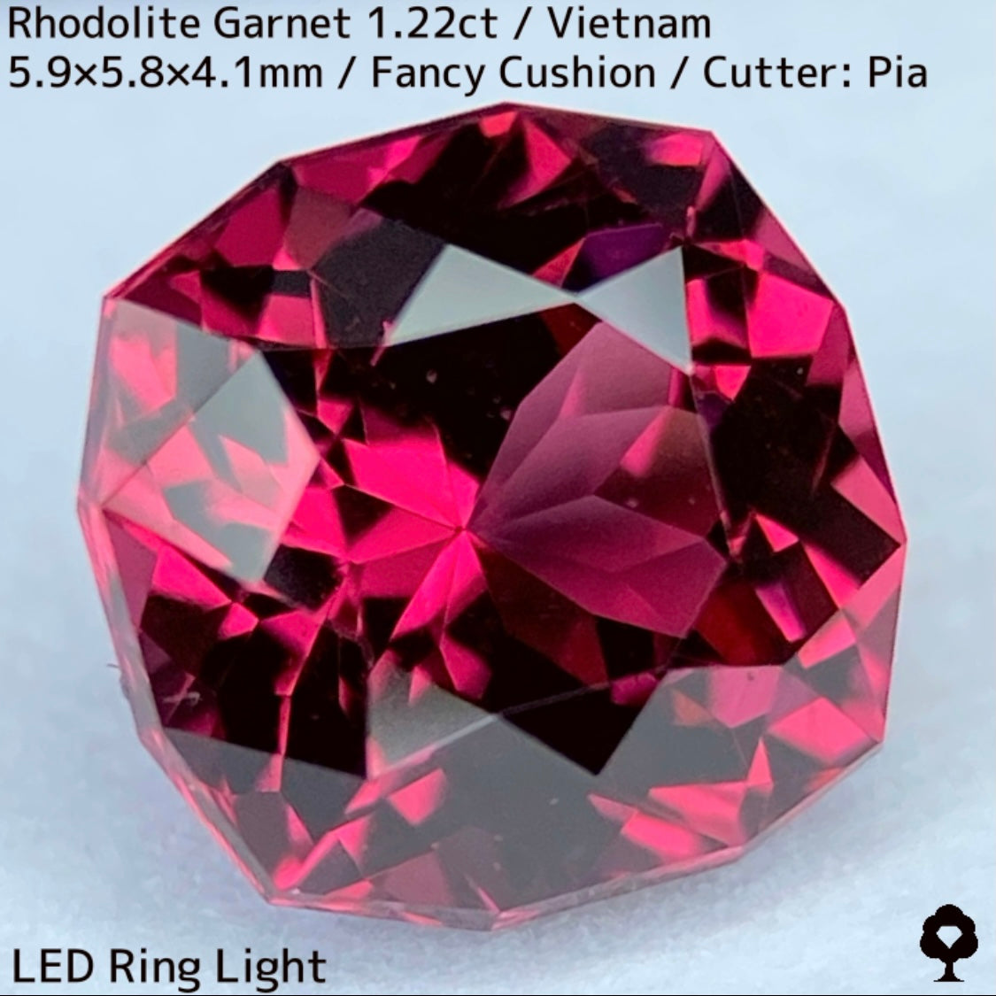 Rhodolite Garnet 1.22ct / Vietnam