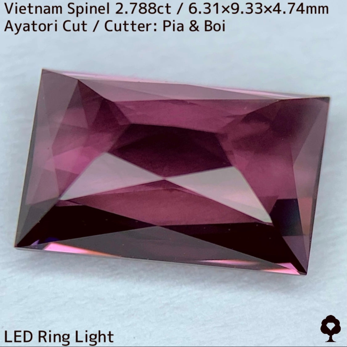 Spinel 2.788ct / Vietnam
