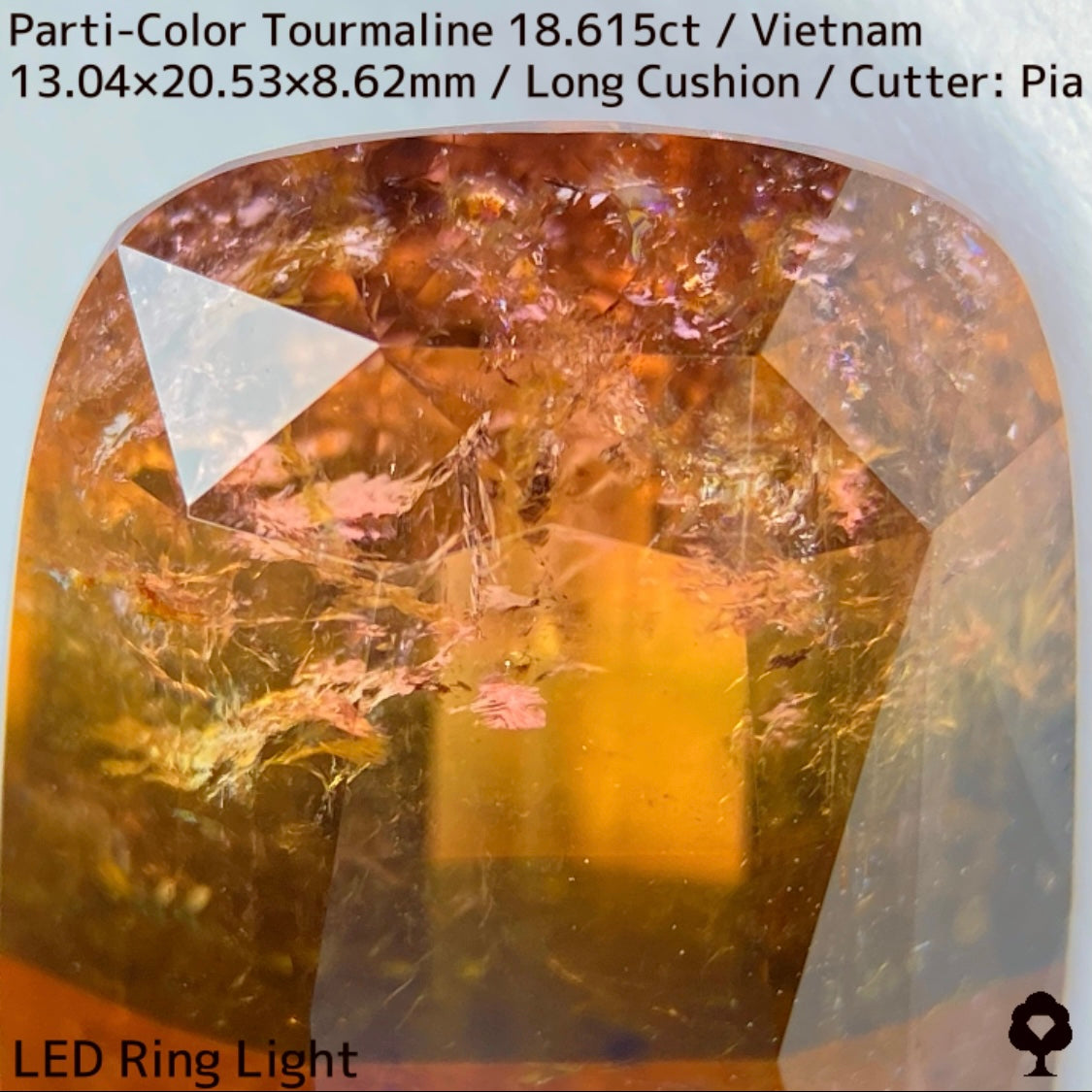 Parti-Color Tourmaline 18.615ct / Vietnam / Long Cushion