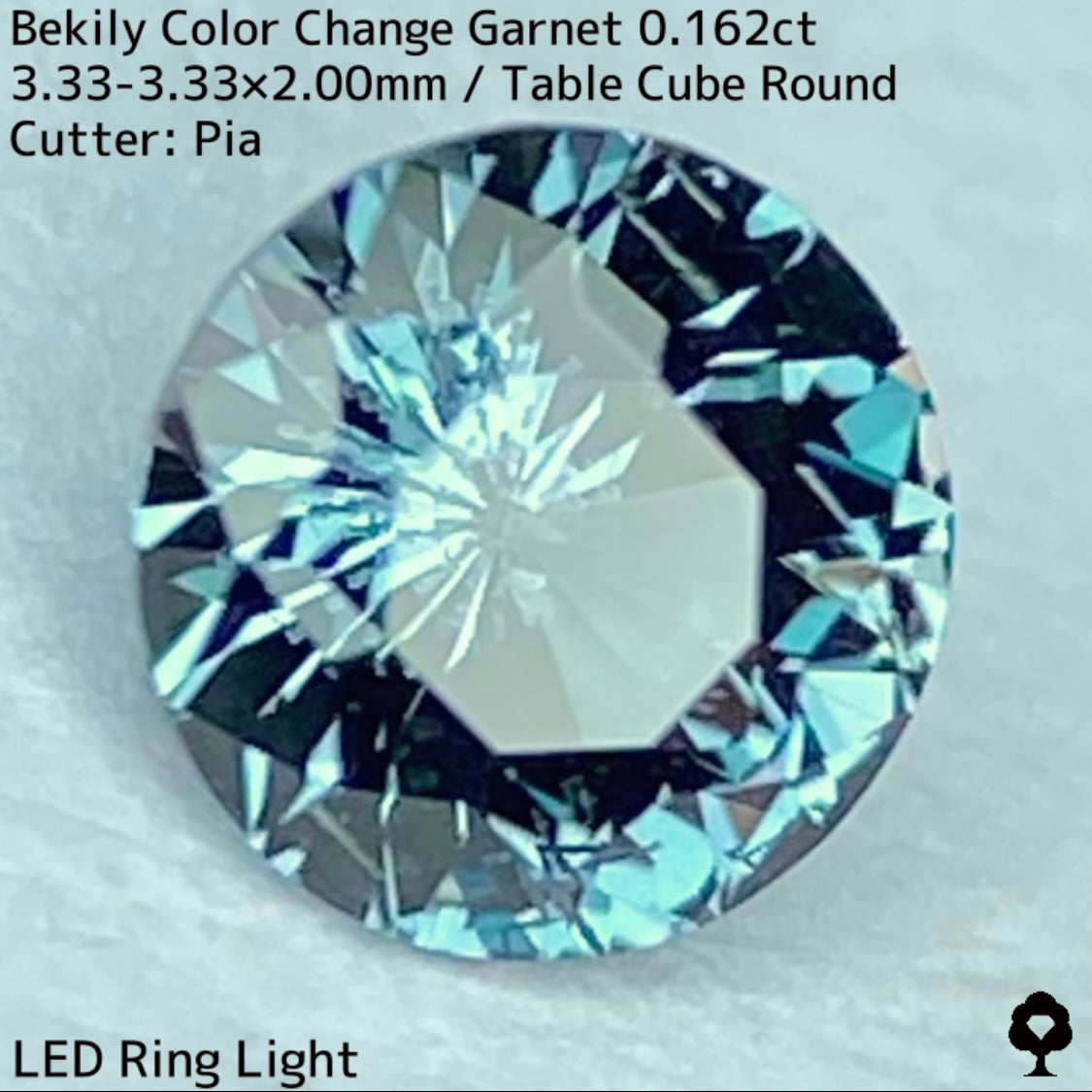 Color Change Garnet 0.162ct / Bekily(Madagascar)