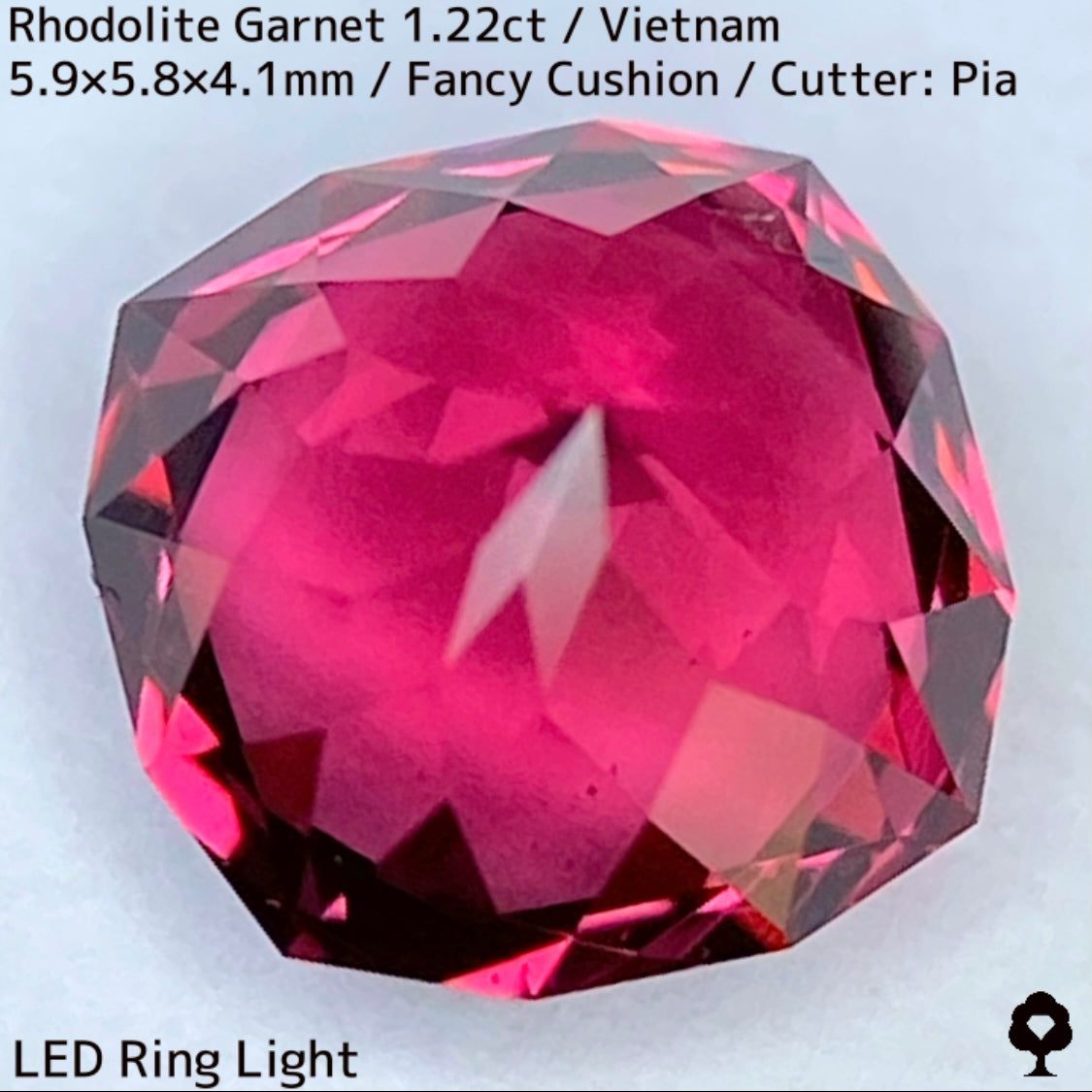 Rhodolite Garnet 1.22ct / Vietnam