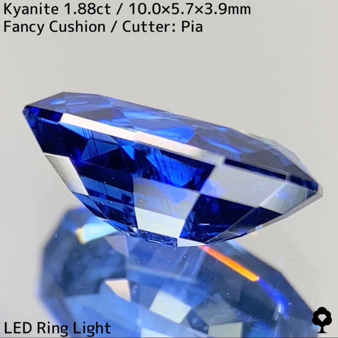 Kyanite 1.88ct / Nepal
