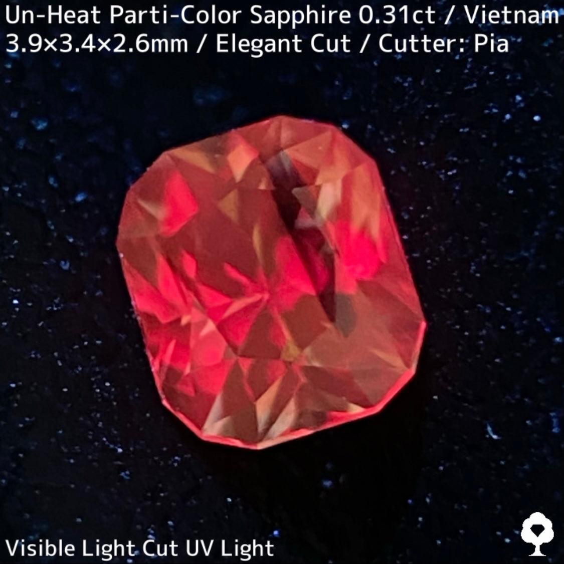 Un-Heat Pari-Color Sapphire 0.31ct / Vietnam