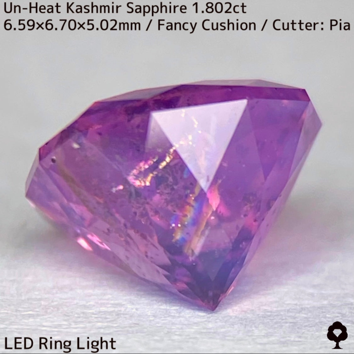 Unheated Kashmir sapphire from Pakistan 1.802ct ★ Enjoy this rare Kashmir masterpiece in a variety of light sources