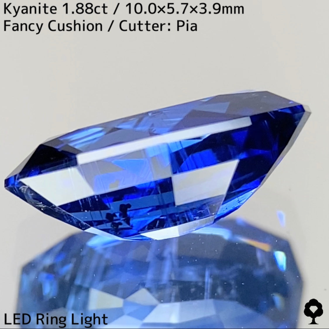 Kyanite 1.88ct / Nepal